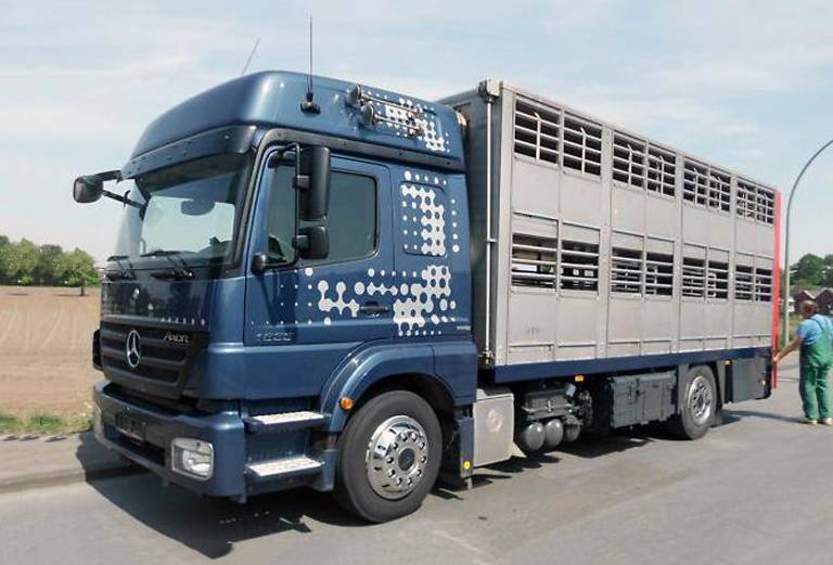 Заказать скотовоз для крупного рогатого скота по Ярославлю