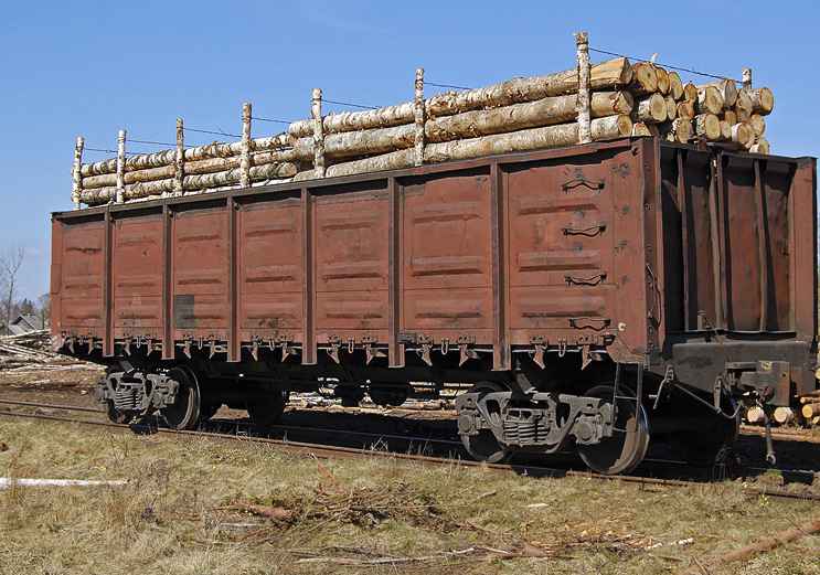 Перевозка ЛЕСА вагонами из Вохмы в Москву